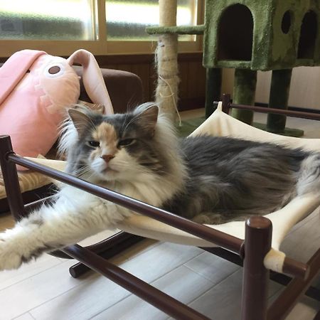 Cat Cafe & Stay Cultus'S Home Otaru Zewnętrze zdjęcie